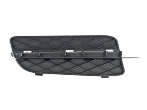 003-0313-00 REJILLA FASCIA BW X5 07-10 DER