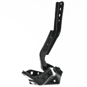 006-1301-09 BISAGRA COFRE HD ACRD 23-24 IZQ