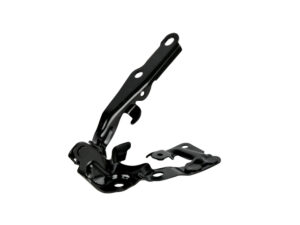 006-3002-06 BISAGRA COFRE TY CAMRY 07-11 DER