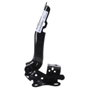 006-3002-14 BISAGRA COFRE TY CAMRY 18-24 DER