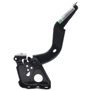 006-3006-00 BISAGRA COFRE TY HIGHLANDER 20-24 DER