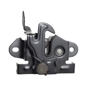 104900 CHAPA DE COFRE DG H100 06-10