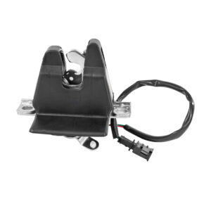 107661 CHAPA DE PUERTA VW CROSSFOX 10-14  ELECTRICA 2 PINS GENERICA 12VCC 5A PUERTA