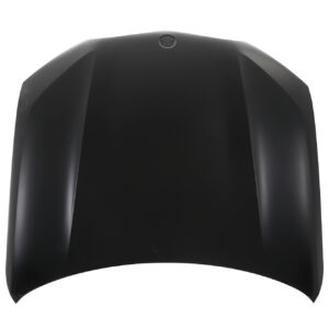 201-0313-04 COFRE BW X-5 19-23 LAMINA 5 PUERTAS