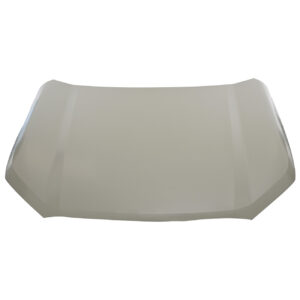 201-0692-00 COFRE CV S-10 MAX 23-24 LAMINA