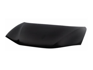 COF61A COFRE DODGE 300M 99-04 N-TW