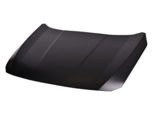 201-1301-26 COFRE HD ACCORD 18-19 LAMINA