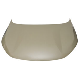 201-6100-01 COFRE OM C5 23-24 LAMINA