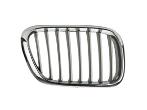 204-0313-00 PARRILLA BW X5 00-04 CROMADA DER