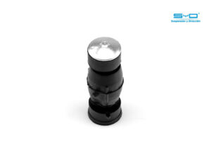 256-2314-00 TORNILLO ESTABILIZADOR NS PLATINA 02-10 DER/IZQ