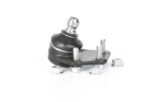 Rotula Inf. Der. Ram-700 14-21