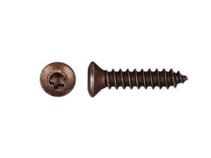 310-9998-09 PIJA CABEZA OVALADA TORX 4.2-1.41X20mm NGO USA