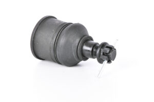 Rotula Inf.  Accord 08-12 TSX 09-12