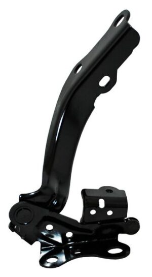 5341006370 BISAGRA COFRE CAMRY 18-19 DER