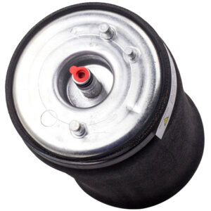 BDS8 BOLSA SUSPENSION BMW X5 00-06 TRASERA RH
