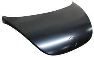 CVBE06 COFRE BEETLE 06-11