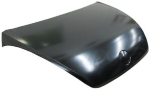 CVBE12 COFRE BEETLE 12-16