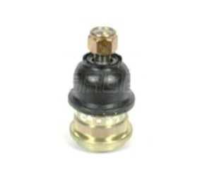 Rotula Inf.  Accent 95-03 Verna 03-09