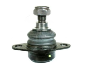 Rotula Inf.  X3 04-10