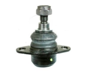 Rotula Inf.  X5 00-06