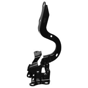 006-3019-02 BISAGRA COFRE TY PRIUS 23-24 DER