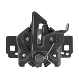 002-1242-00 CHAPA DE COFRE FD EDGE 07-14 METAL PLATA/NEGRO DELANTERA
