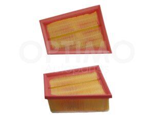 AANN0300 FILTRO DE AIRE C/ESPONJA (APRIO/CLIO/KANGOO/DUSTER/LOGAN/SANDERO/STEPWAY/SCALA/SCENIC 2.0L) PLATINA 1.6L 02-10