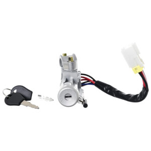 002-2316-16 CILINDRO DE IGNICION NS SENTRA 95-99 CON LLAVE CON SEGURO 6 PINES METAL CROMADO DELANTERA